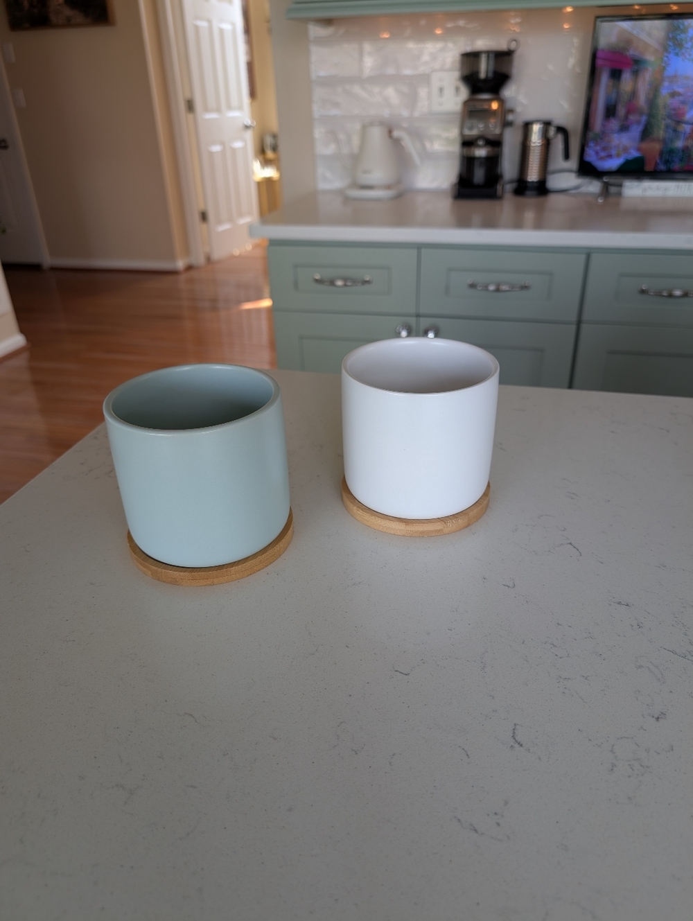 New Planter Pots